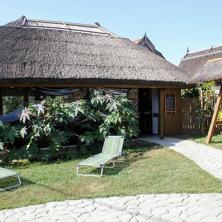 Hotel Cerdacul Cu Stuf à Sfântu Gheorghe Extérieur photo