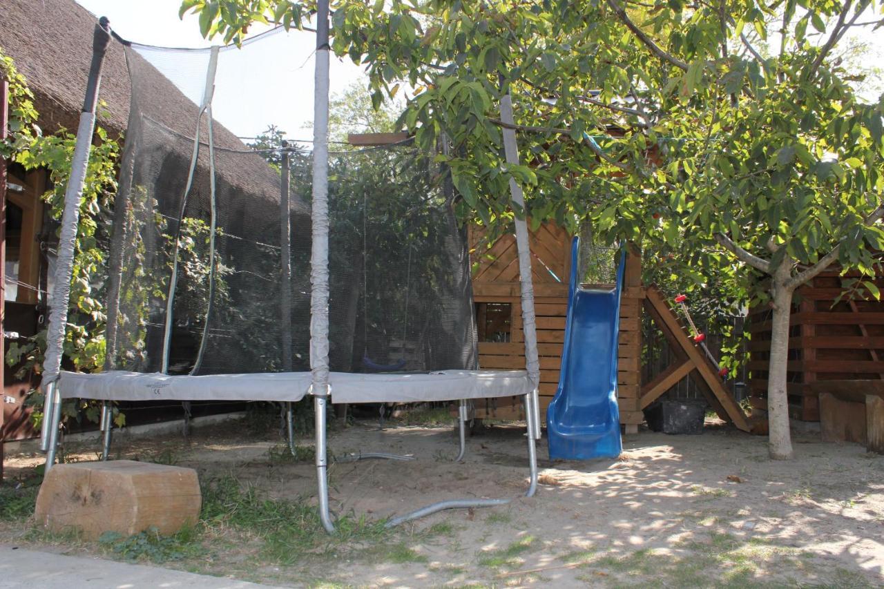 Hotel Cerdacul Cu Stuf à Sfântu Gheorghe Extérieur photo